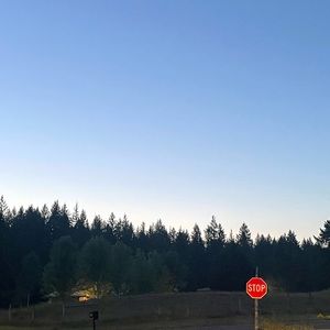 Meet your Posher, Lydia